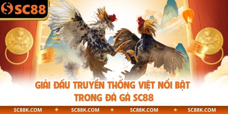 Giải đấu truyền thống Việt nổi bật trong đá gà SC88